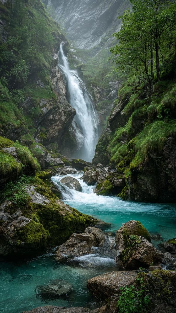 Les domaines psycho-émotionnels traités dans les constellations familiales et systémiques.